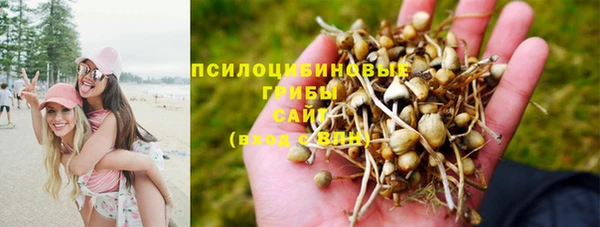 мескалин Алзамай